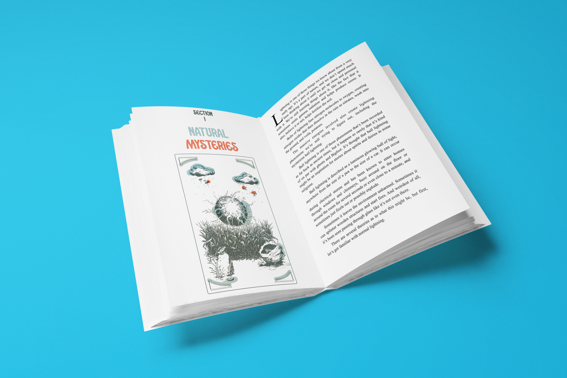 The Cursed, Comedic, and Totally Joe Scott Book Launch