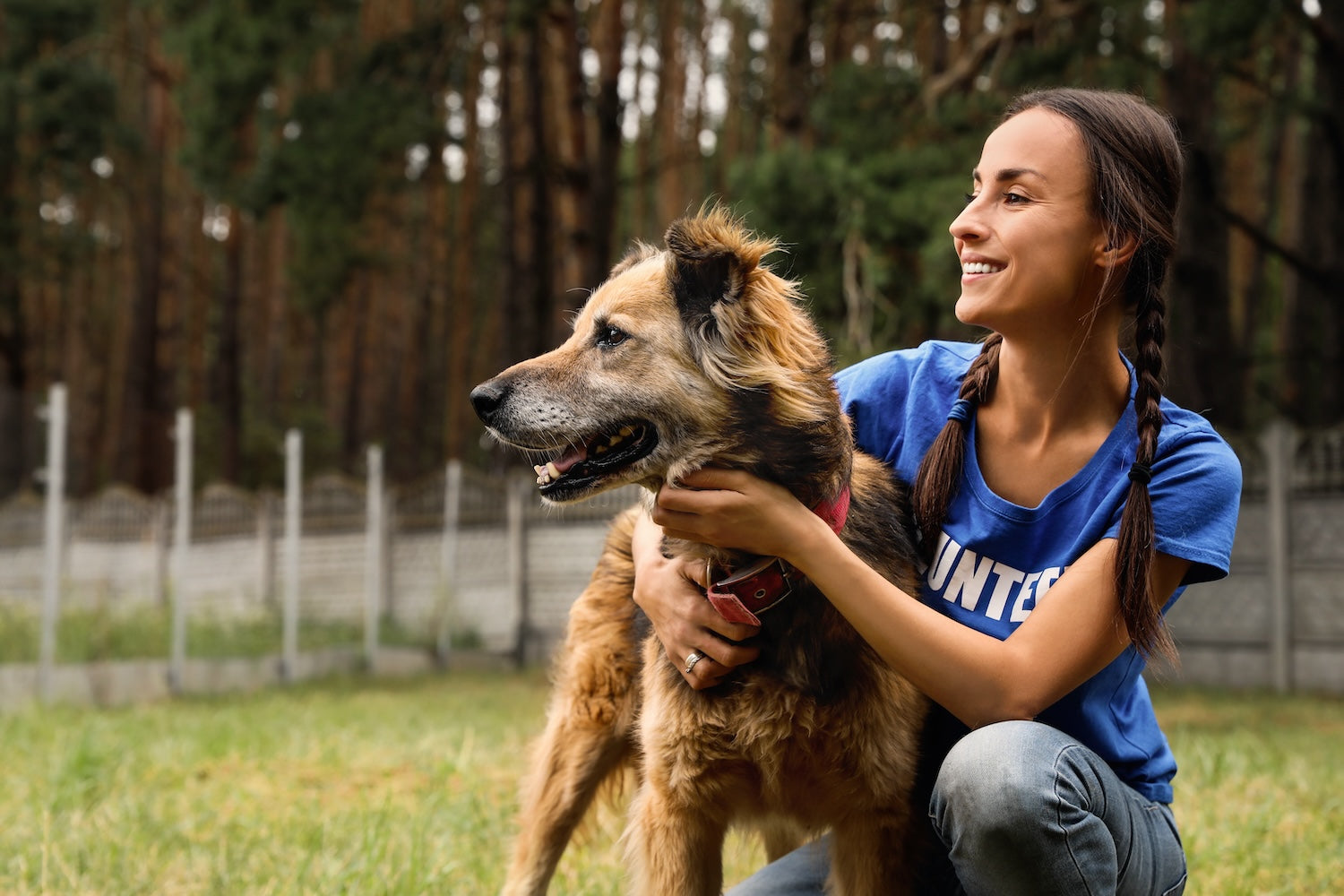 Live "The Book of Mysteries" Signing | Donations For Local No Kill Animal Shelter